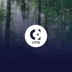 CIFB New York 2025 iOS Icon