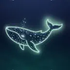 Whale Sounds: Sleep & Relax iOS Icon
