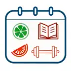 Niki Plan iOS Icon