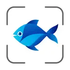 Fish Identifier AI Scanner iOS Icon