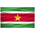 VFS Suriname eVisa iOS Icon