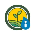 miRiego Villarnera iOS Icon