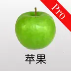 宝宝卡片-双语大百科 iOS Icon