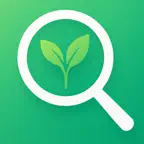 Plant Identifier: PlantRobot iOS Icon