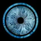 Iris Galerie icon