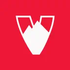 Vorld Icon