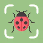 Insect Bug Identifier | BugPic iOS Icon