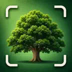 Tree Identifier゜ iOS Icon
