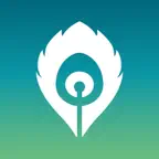 RecallMate - Spaced Repetition Icon
