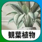 カードで観葉植物｜アシストシステム iOS Icon