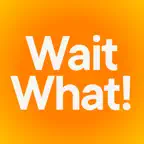 Facts: WaitWhat! iOS Icon