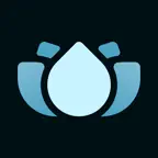 Digital SPA Icon