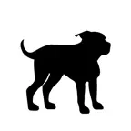 Uno Allergy iOS Icon