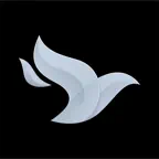 Flames Driver iOS Icon