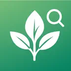Plant Identification iOS Icon