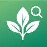Plant Identification