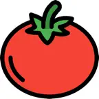 番茄单词: 四六级单词学习利器 iOS Icon