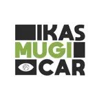 Ikasmugicar iOS Icon