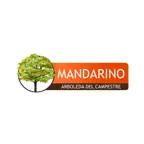 Mandarino iOS Icon