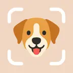 Dog Breed Identifier by DogPic iOS Icon