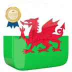 Learn Welsh Phrases Premium iOS Icon