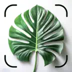 Plant ID: Identifier & Care iOS Icon
