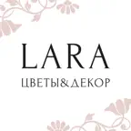 Цветы Лара Доставка iOS Icon