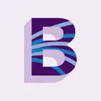 Borealis Philanthropy Icon