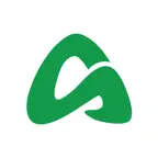 Saulikh Icon