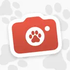 Locket Pets iOS Icon