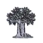 Treeit-lite iOS Icon