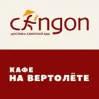 На вертолете iOS Icon