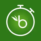 BambooHR Time Kiosk iOS Icon