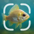 Identifier: Fish iOS Icon