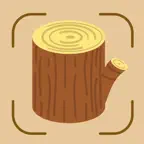Wood Identifier: Lumber AI iOS Icon