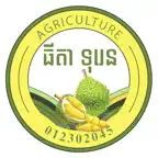 Chhun Kang Durian iOS Icon