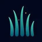 Rain & Nature Sounds: Sleep iOS Icon
