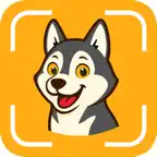 Dog Breed Identifier + Scanner iOS Icon