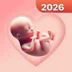 Pregnancy Tracker - Calculator Icon