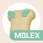 MBLEx Practice Test 2026. iOS Icon