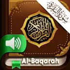 Surah Al Baqarah MP3 Offline iOS Icon