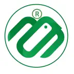 3ms Icon