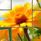 Jigsaw Paradise: Puzzle Game iOS Icon