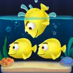 Fish Sort 3D: Match Puzzle iOS Icon