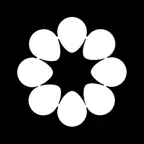 WedConnex iOS Icon