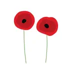 Pretty Flower Sticker2 iOS Icon