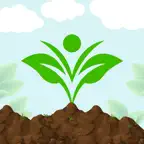 Fayana iOS Icon