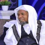 Sheikh Seid Ahmed iOS Icon