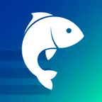 RecFishing iOS Icon