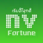NV Fortune icon
